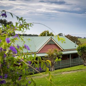 The Bryn At Tilba Bed & Breakfast Central Tilba Exterior photo