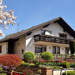 Gastehaus Braun Apartment Bad König Exterior photo