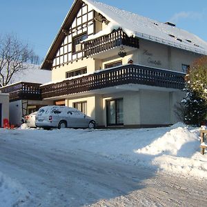 Haus Cristallo Apartment Олсберг Exterior photo