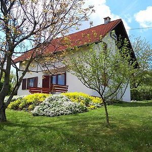 Guest House Kolic Drežnik Grad Exterior photo