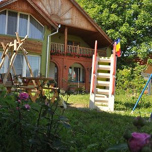 Pensiune Muzeu Traditional Poveste In Transilvania Hotel Сигишоара Exterior photo