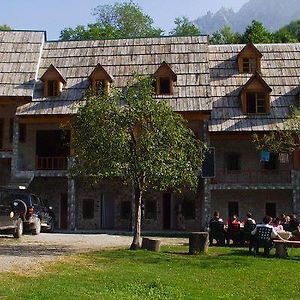 Bujtina Harusha Hotel Тет Exterior photo