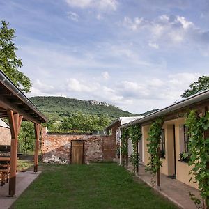 Penzion Marhulka Hotel Долни Вестонице Exterior photo