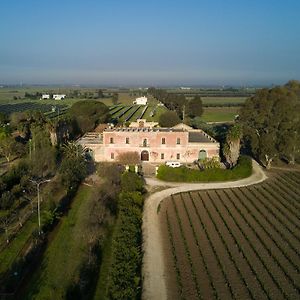 Masseria Mazzetta Salento Corte Del Falconiere B&B Саличе Салентино Exterior photo