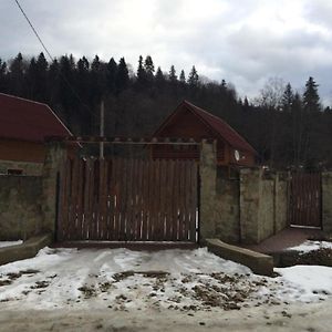 Guest House In Carpathians Мигово Exterior photo