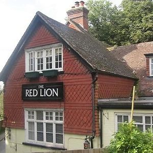 The Red Lion Hotel Betchworth Exterior photo