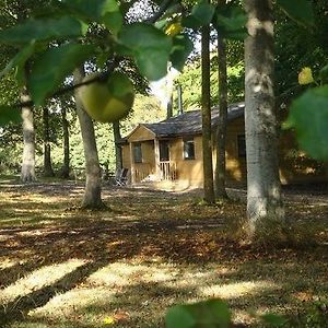 The Apple Wood Apartment Уорминстър Exterior photo