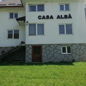 Casa Alba Villa Фундата Exterior photo