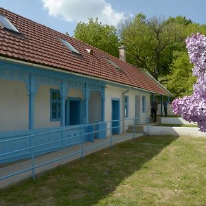 Kekfesto Vendeghaz Hotel Бюксенткерест Exterior photo