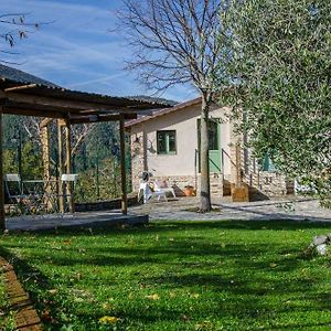 Le Voltarelle Bed & Breakfast Bed & Breakfast Serra San Quirico Exterior photo