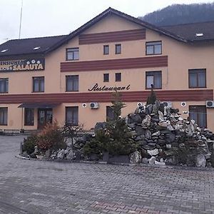 Pensiunea Salauta Hotel Telciu Exterior photo