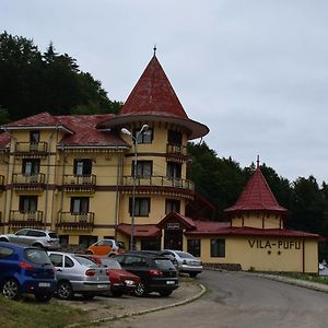 Vila Pufu Hotel Slănic-Moldova Exterior photo