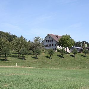 Bnb Im Waldhof Bed & Breakfast Schneisingen Exterior photo