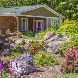 Bear & Butterfly Bed And Breakfast Грейвънхърст Exterior photo