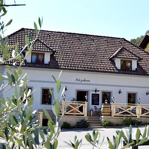 Guest House Pod Grebenom Podčetrtek Exterior photo