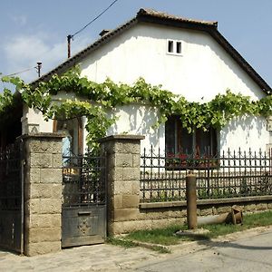 Pataky Borporta Bed & Breakfast Таркал Exterior photo