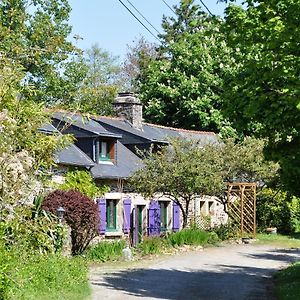 Gite Du Vert Rivage A Stang Korvenn Bed & Breakfast Laz Exterior photo