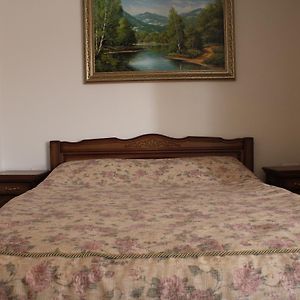 Gostyniy Dvir Synevir Hotel Синевир Room photo