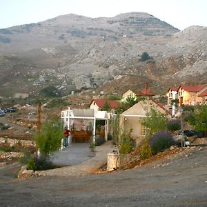 Soha Village Resort Fālūghā Exterior photo