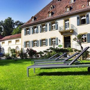 Hotel Schloss Heinsheim Бад Рапенау Exterior photo