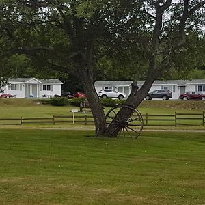 Macneil'S Motel Норт Сидни Exterior photo