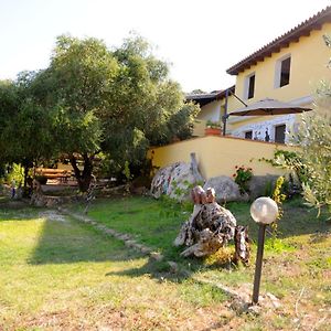 Agriturismo Sa Inza Villa Torpè Exterior photo