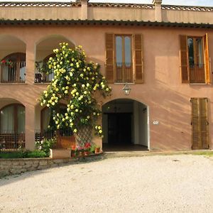 Agriturismo Vocabolo Palazzo Bed & Breakfast Solomeo Exterior photo