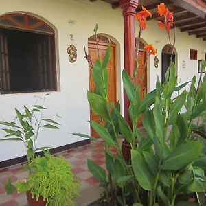 Guesthouse Los Corredores Del Castillo Гранада Exterior photo
