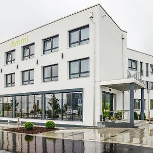 Ammi Hotel Garni Ининг ам Амерзее Exterior photo