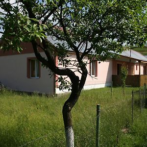 Kotej Alivec Villa Колочава Exterior photo