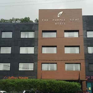 The Purple Leaf Hotels Хидерабад Exterior photo