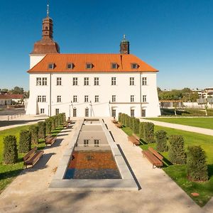 Chateau Clara Futura Hotel Dolni Brezany Exterior photo