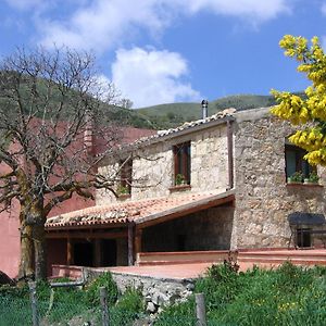 Agriturismo Gelso Villa Castellana Sicula Exterior photo