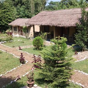 Chital Lodge Читван Exterior photo