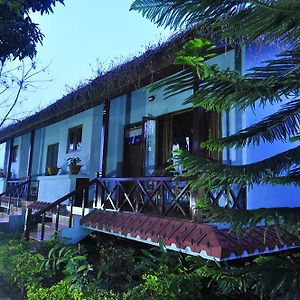 Chitwan Forest Resort Саураха Exterior photo