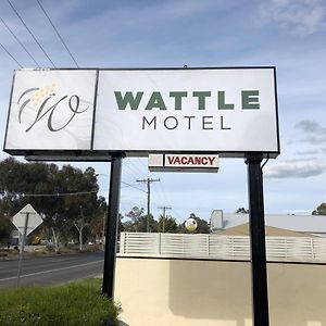 Wattle Motel Сиймор Exterior photo