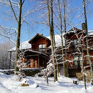 Bird Valley Hotel Синяк Exterior photo