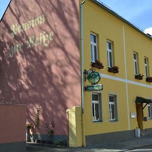 Pension Zur Neisse Hotel Губен Exterior photo