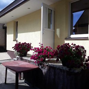 Alyvos Villa Игналина Exterior photo