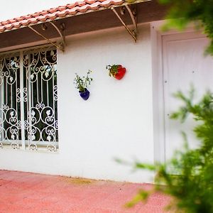 Studio De Charme Amilcar Sidi Bou Said Villa Exterior photo