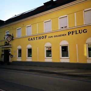 Gasthof Zum Goldenen Pflug Hotel Амщетен Exterior photo