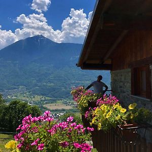 Agriturismo Cavria Bed & Breakfast Castione Andevenno Exterior photo