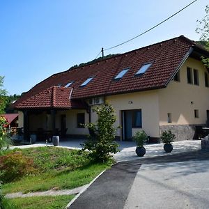 Farm Stay Zevnik Brežice Exterior photo