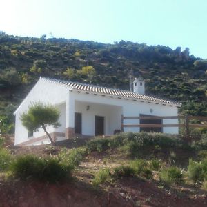 La Solana De Turon. El Pino Guest House Ардалес Exterior photo