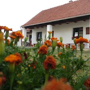 Oncsa Vendeghaz Hotel Gyöngyös Exterior photo