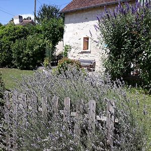 Le Misteflore Villa Coussay-les-Bois Exterior photo