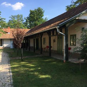 Farm House Apartment Domaszék Exterior photo