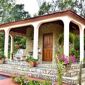 Casa Dona Rosa Hotel Candelaria Exterior photo