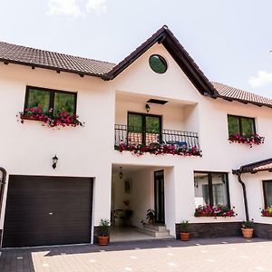 Vila Rodica Transalpina Hotel Şugag Exterior photo