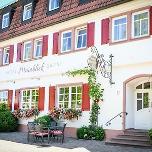 Hotel Mainblick Garni Марктхайденфелд Exterior photo